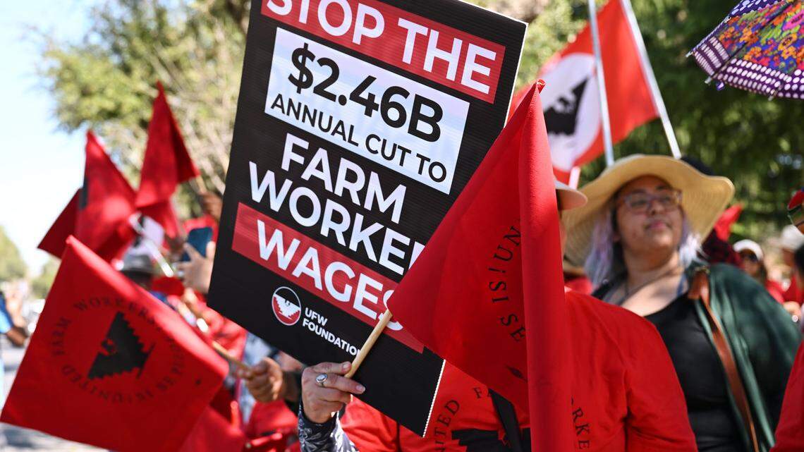 UFW responds to Cesar Chavez allegations and H2A rule fight