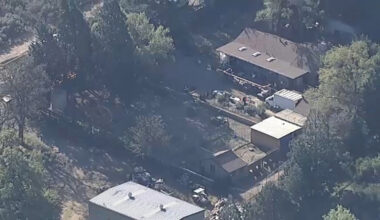 700 cats, dogs being rescued after search warrant served at Los Angeles County, California property