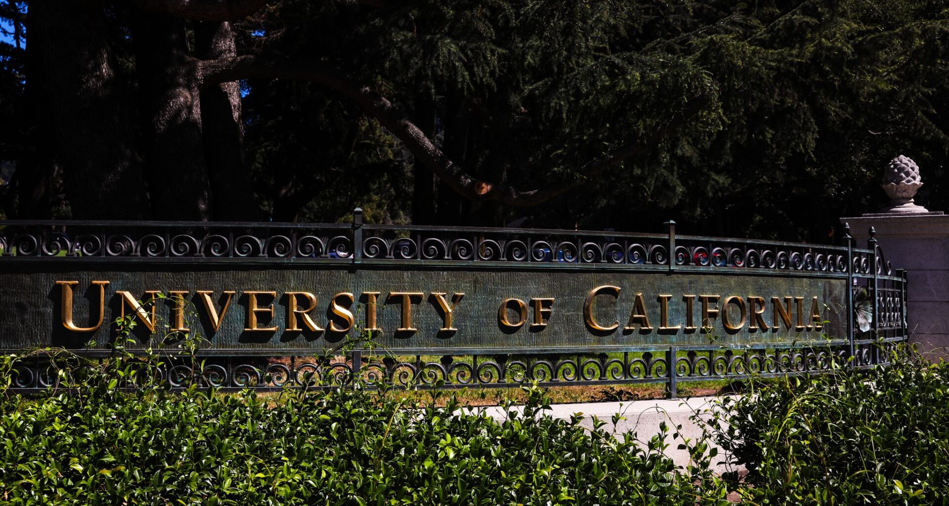 Computer science major at UC sees declines for first time in decades