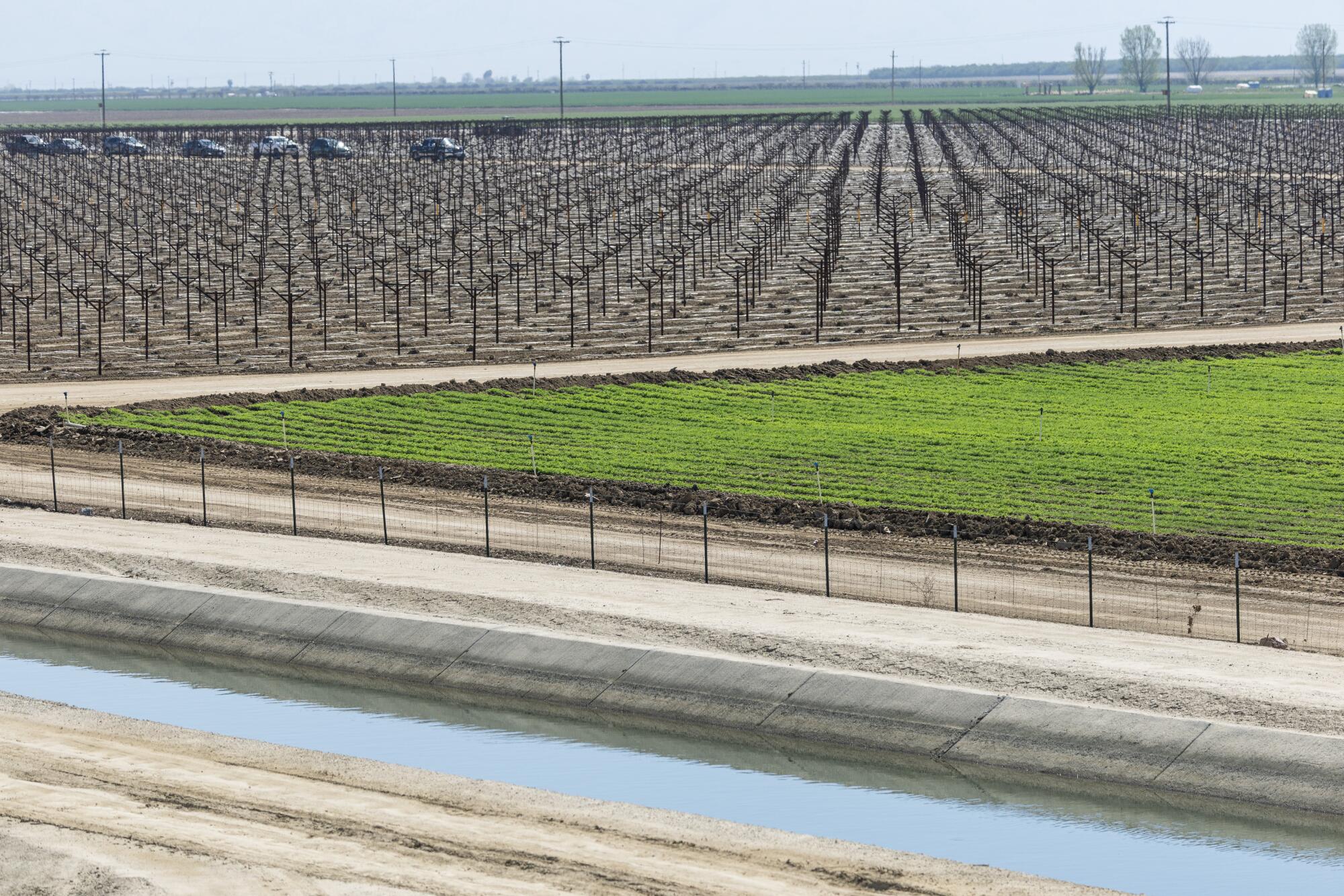 Arvin-Edison Water Storage District's South Canal flows through farmland in Kern County.