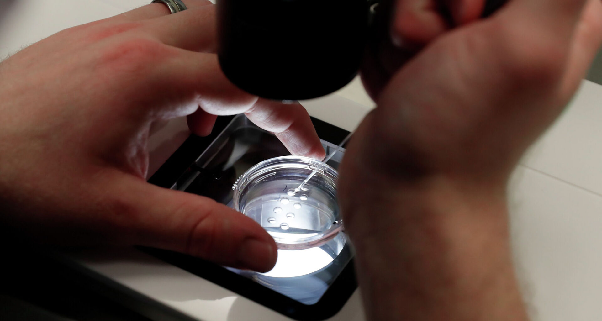 SF has one of the highest IVF birth rates in the US. Here's why