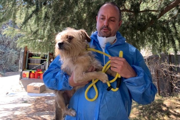 Hundreds of dogs, cats seized from California rescue group