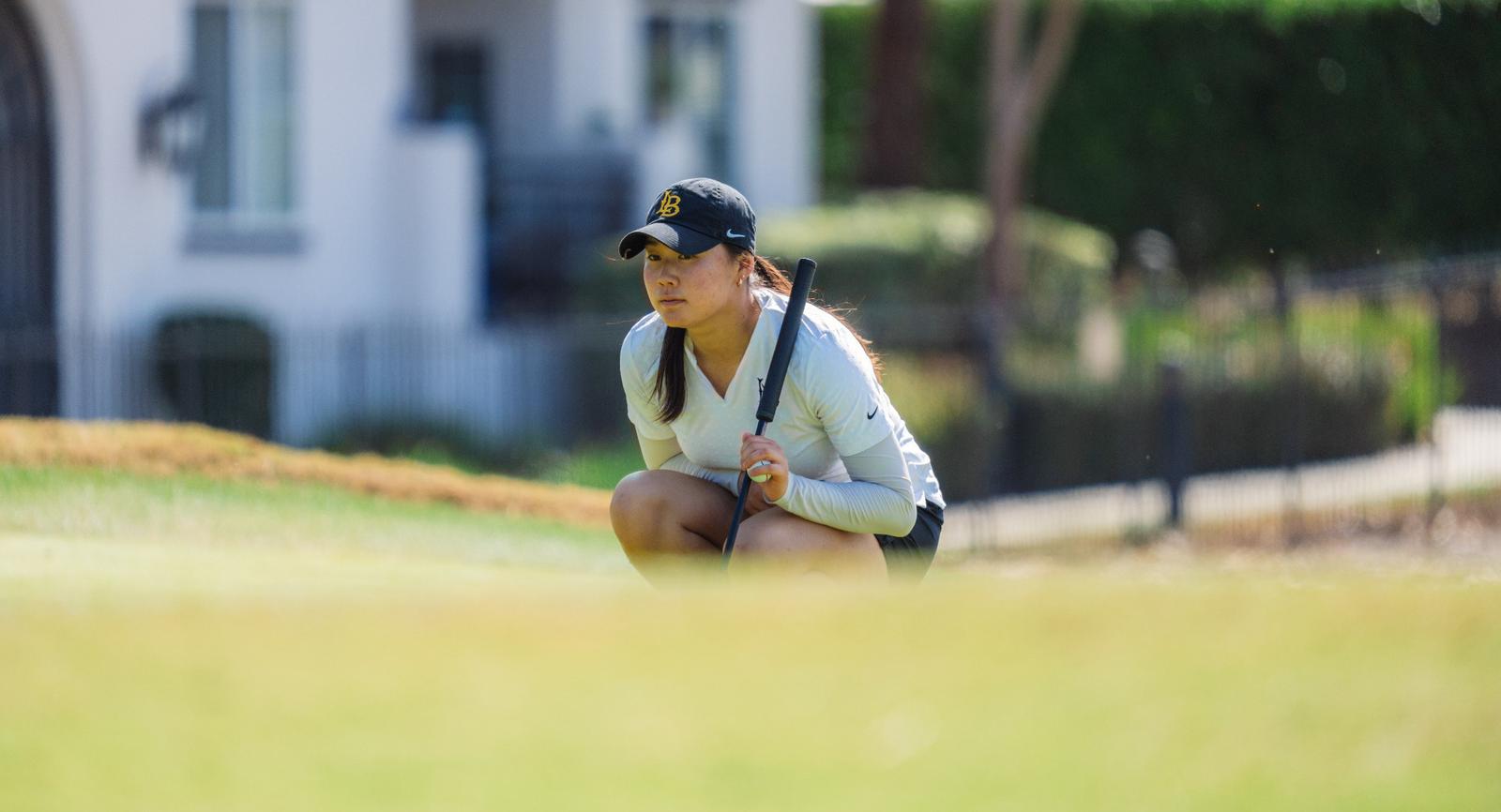 Kansas State University Logo