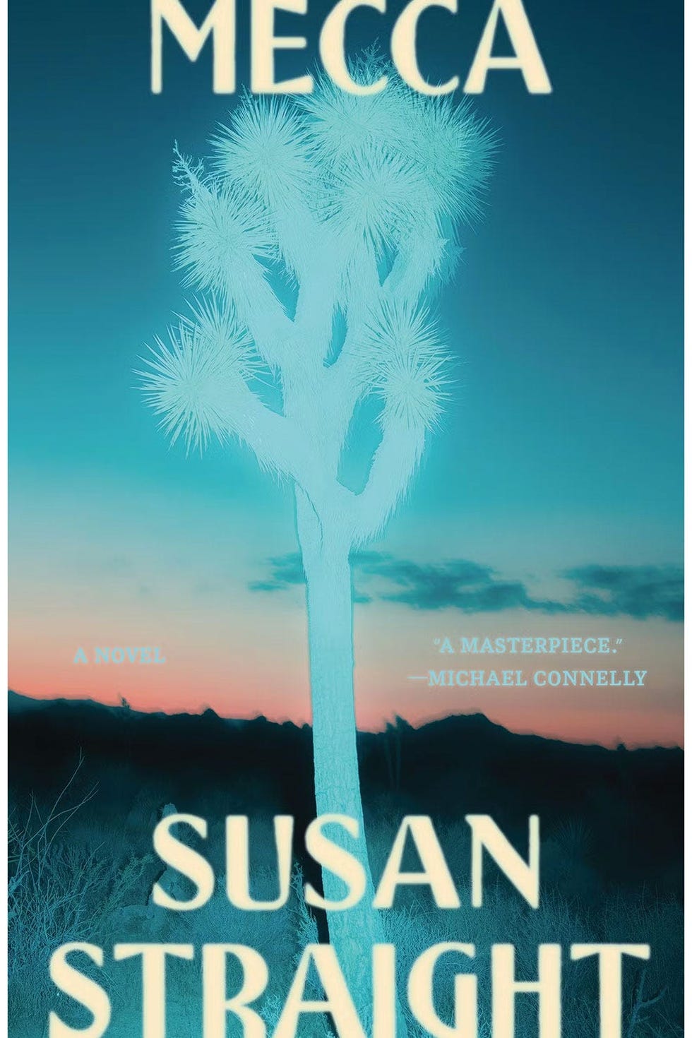 <i>MECCA</i>, BY SUSAN STRAIGHT