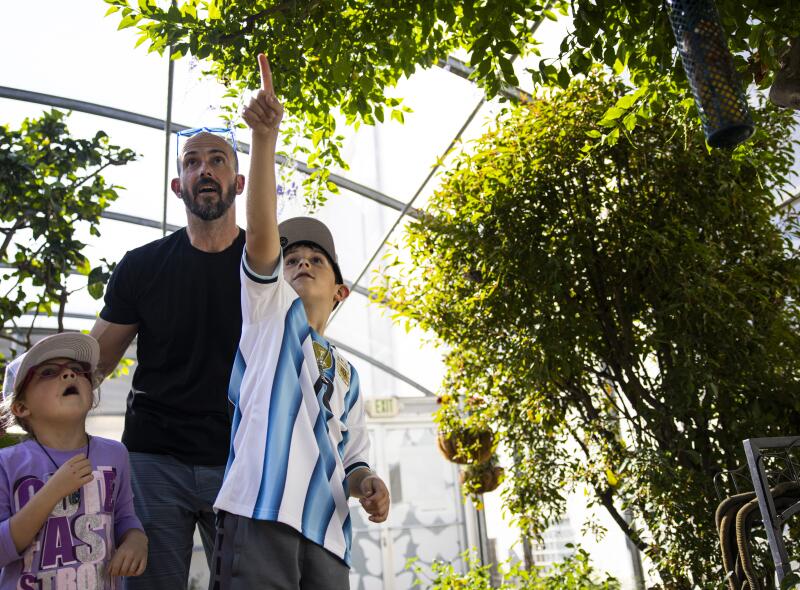 Josephine Nicolet, Nate Nicolet and Gavin Nicolet from Reno, CA watch butterflies fly around.