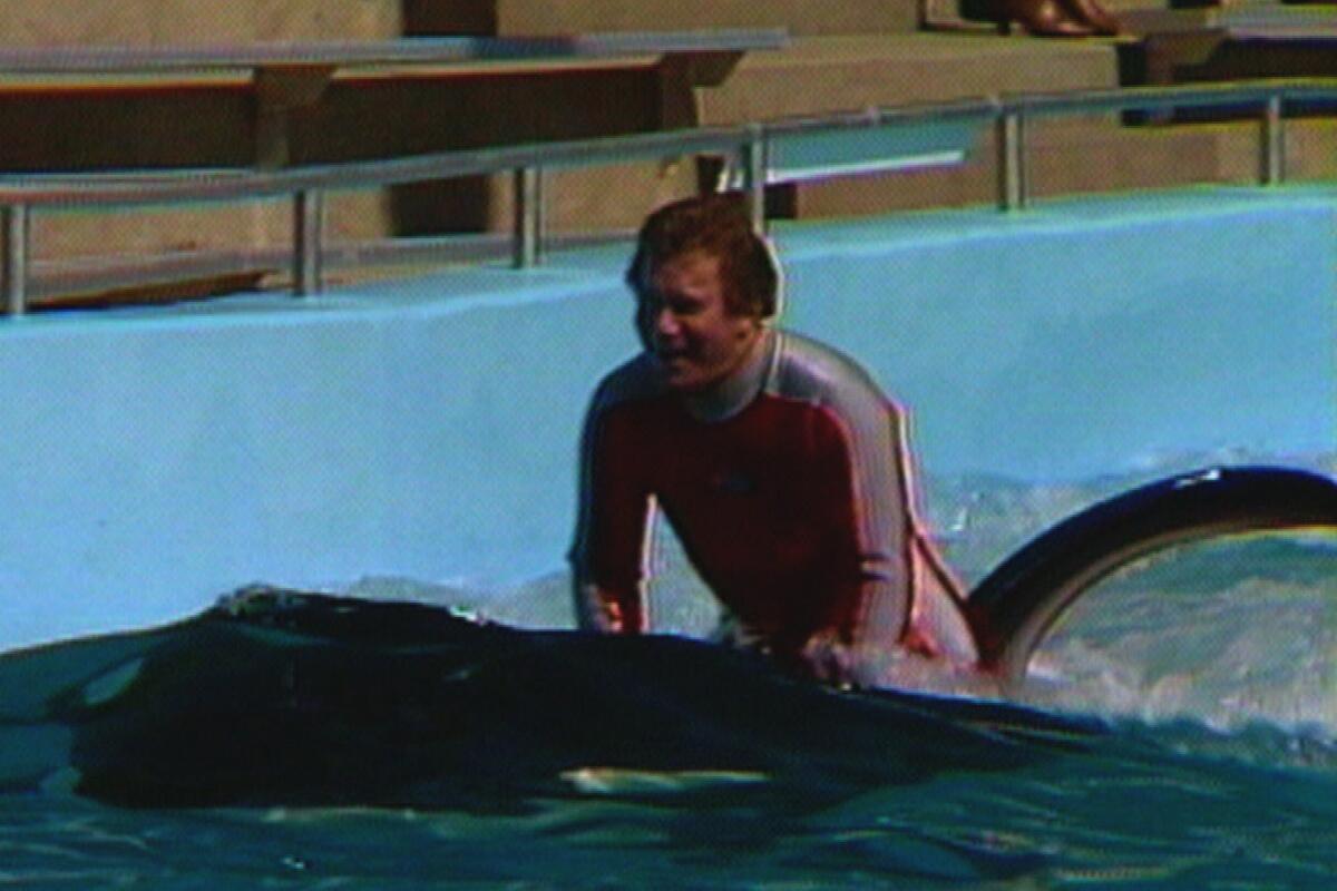 William Shatner at Marine World in Vallejo riding a whale in a segment from 1987.