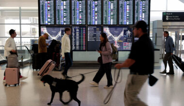 New details emerge on ICE incident at SFO captured in viral videos