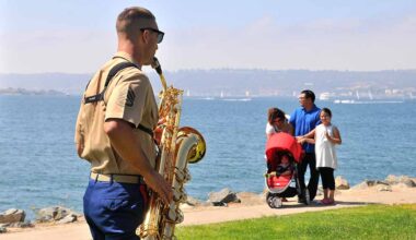 Port awards $2.9M contract for wildlife-friendly shoreline projects
