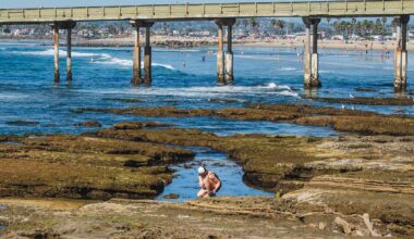 Above-average heat to grip San Diego County through Friday