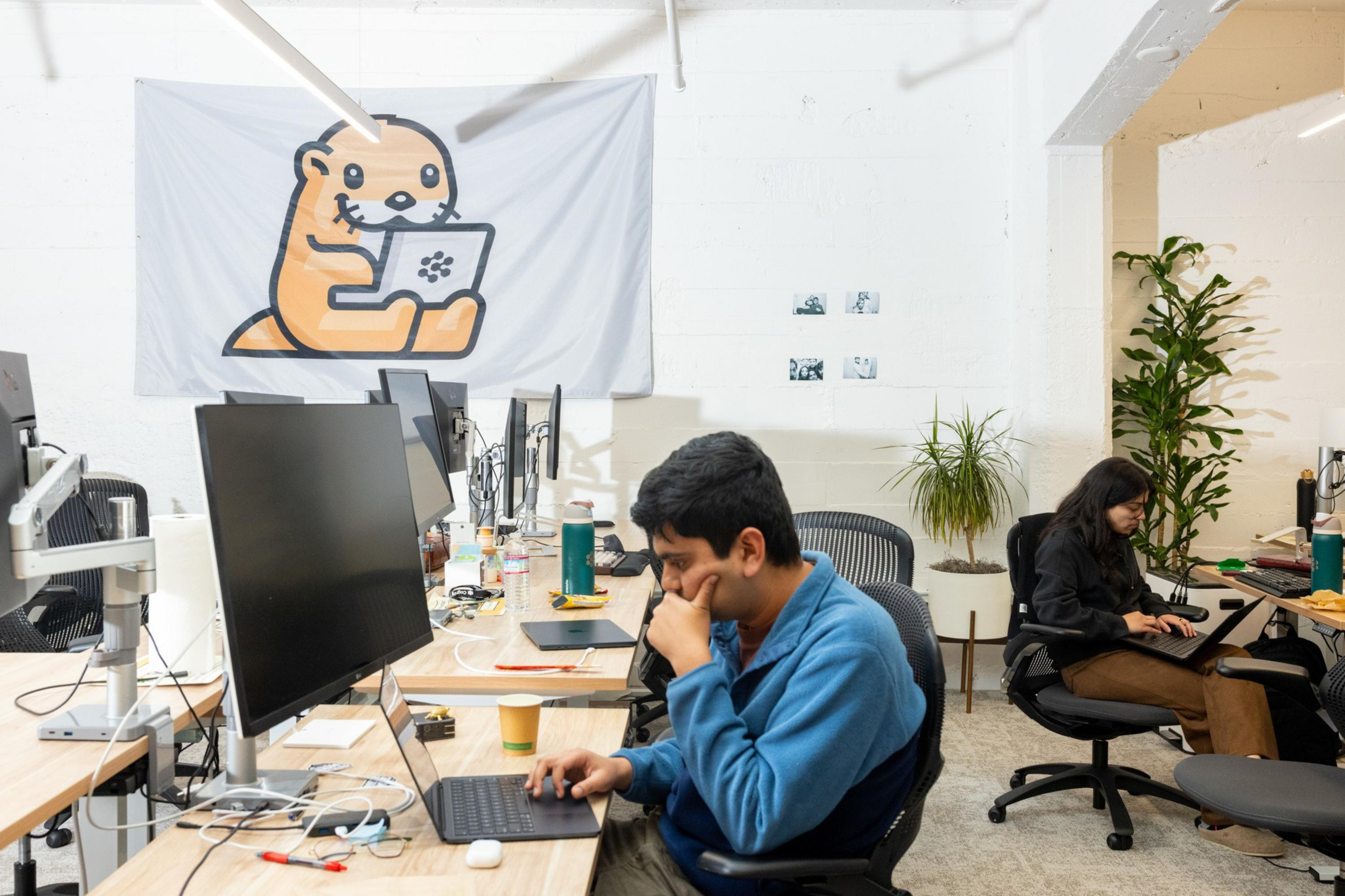 Two people work at desks with laptops and large monitors in a bright office, with a plant and a flag displaying a cartoon beaver holding a tablet on the wall.