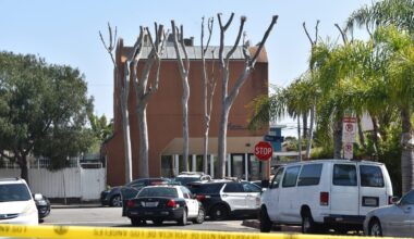 Reported gunman shuts down section of Venice