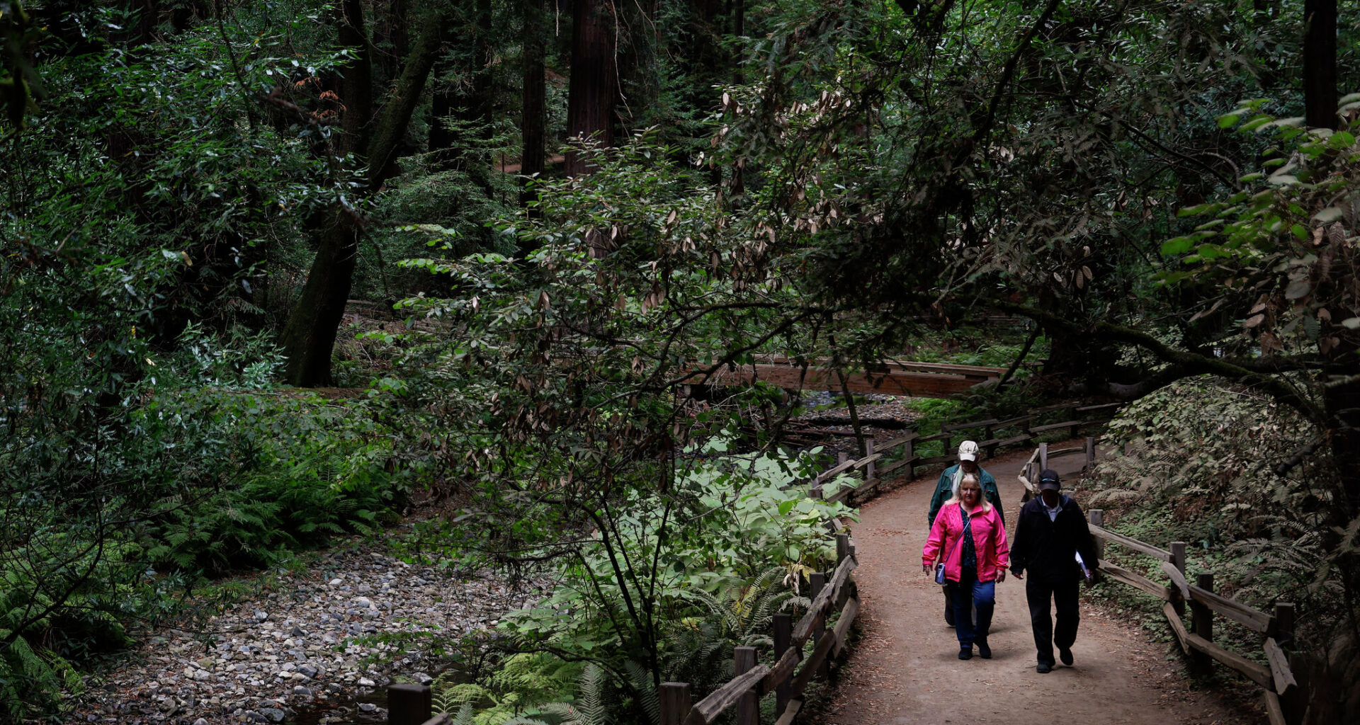 How you can preserve the most-visited national park in the US
