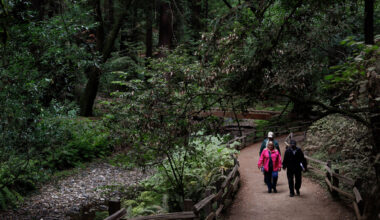 How you can preserve the most-visited national park in the US