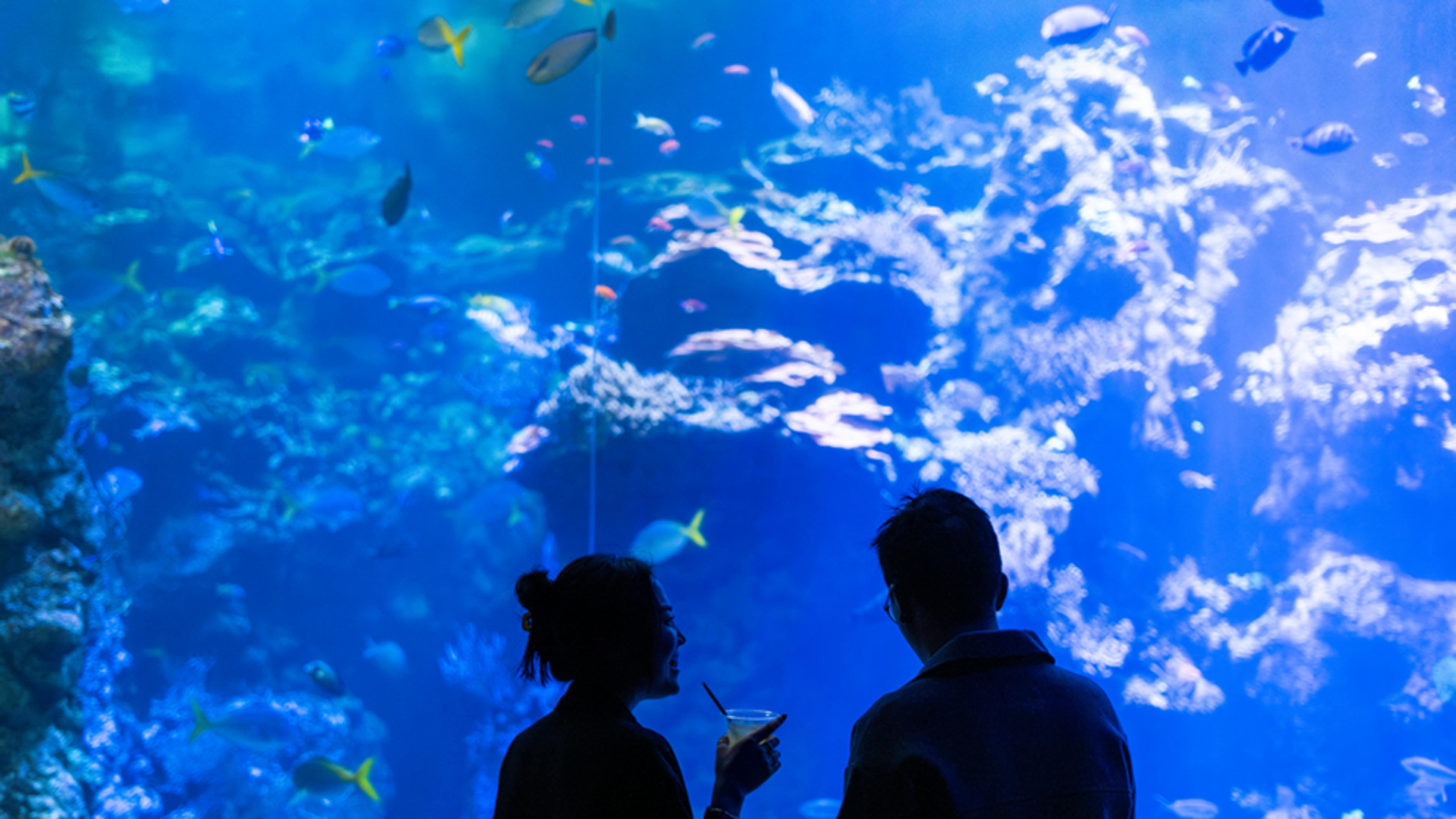 Two people silhouetted against a large aquarium tank full of colorful fish; one holds a drink, and they appear to be engaged in conversation, enjoying the marine view.