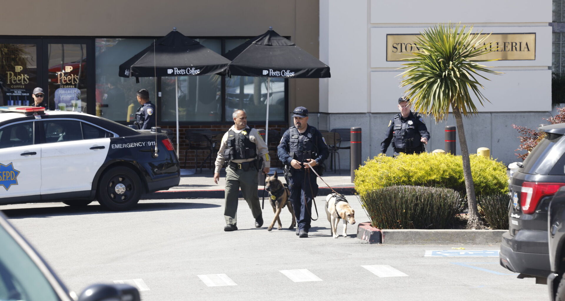 San Francisco Police Department members and San Francisco Sheriffs department members work outside Stonestown Galleria during an evacuation on Wednesday, March 25, 2026 in San Francisco.
