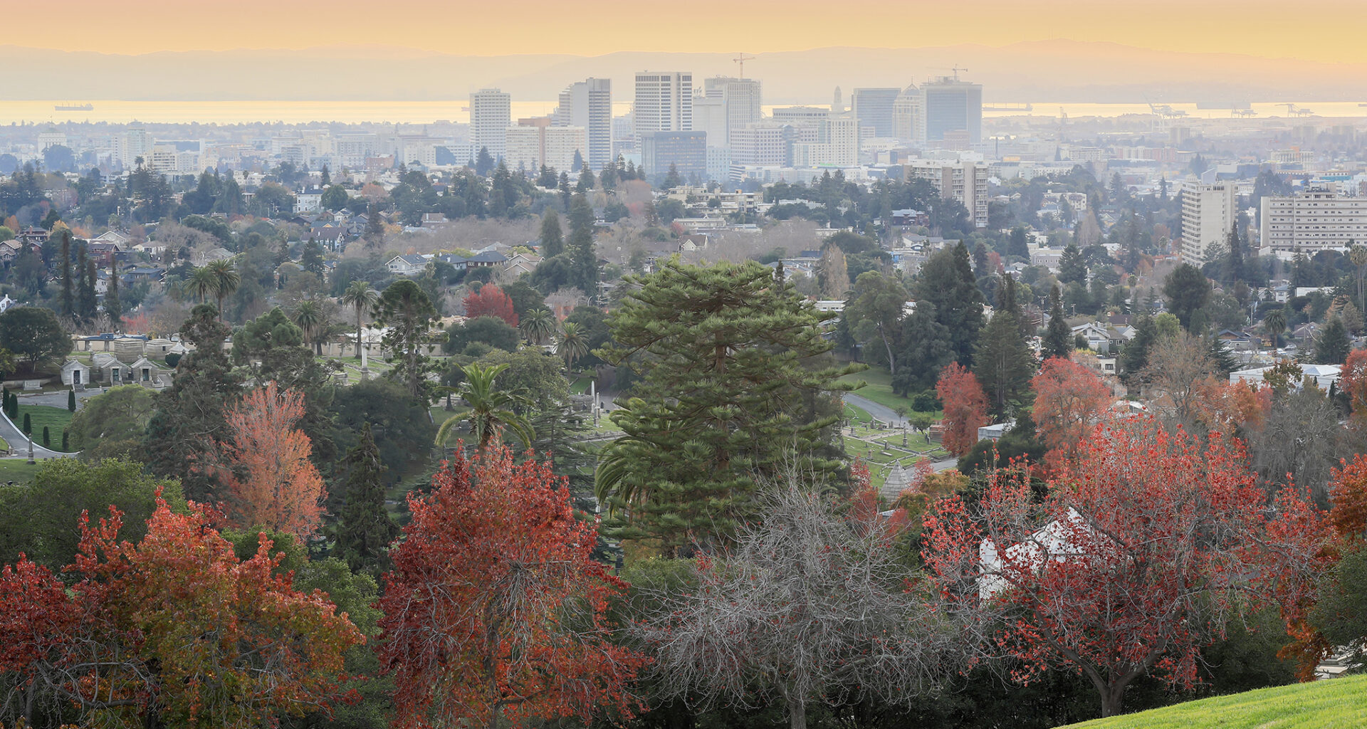 Woman assaulted in overnight home invasion in Piedmont, police say