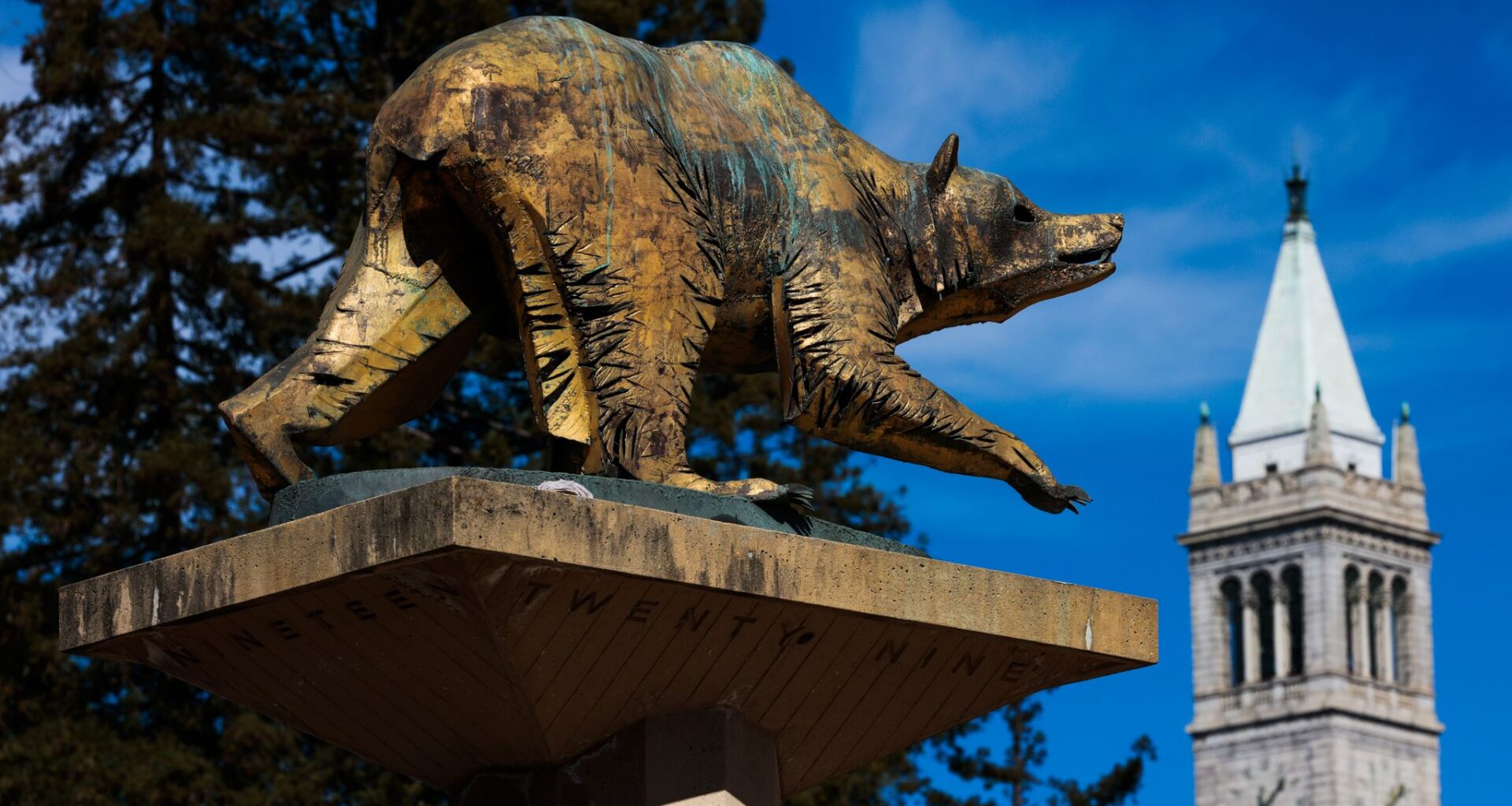 How many get in at UCLA, Berkeley?