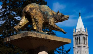 How many get in at UCLA, Berkeley?