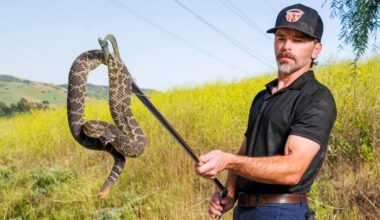 Snake dangers heightened as heat brings early-season sightings – Orange County Register
