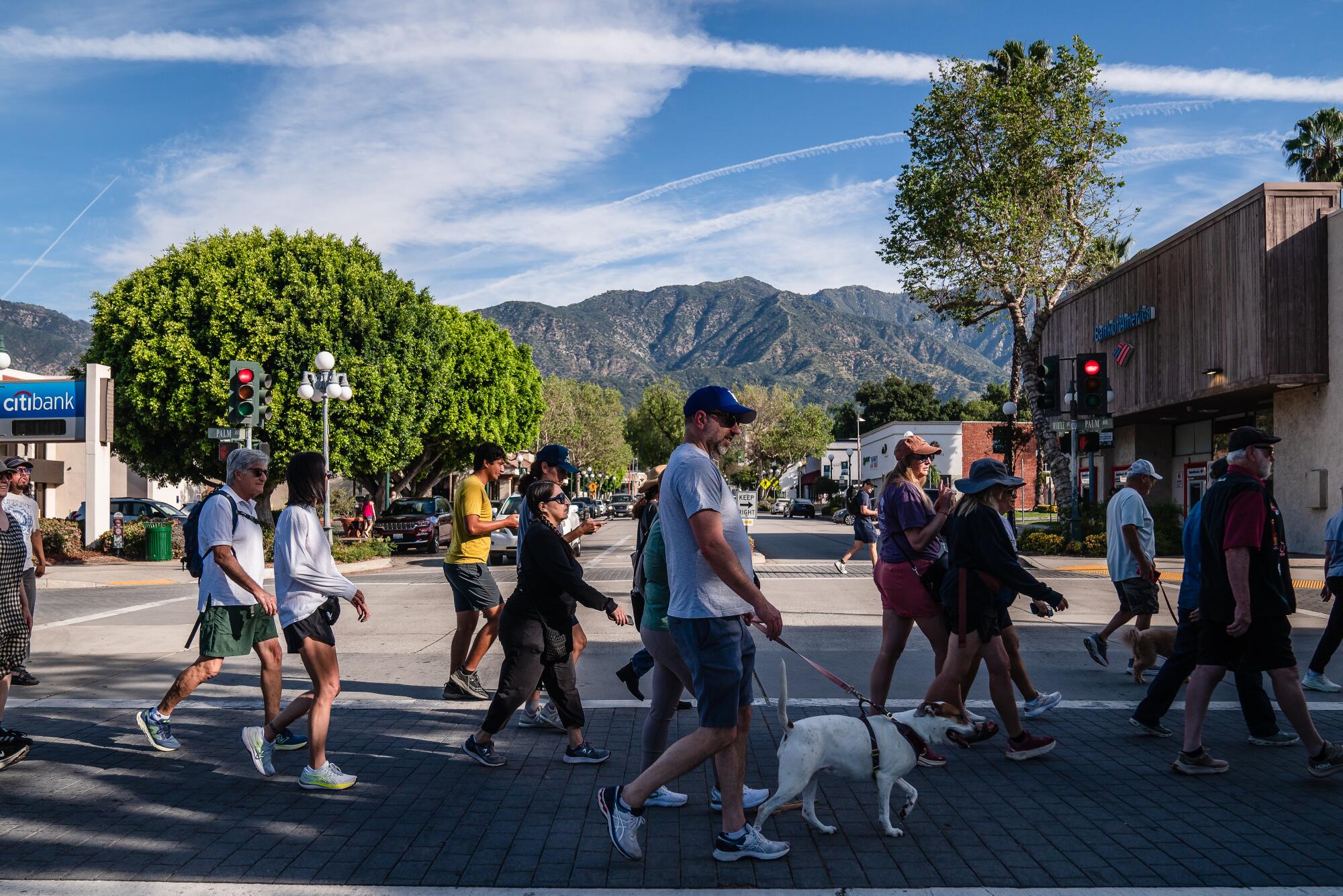 A community walk is held in Monrovia on Saturday in solidarity with Blondie following the bear's killing by state officials.
