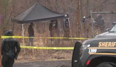 Decomposing body discovered in Pontiac wooded area
