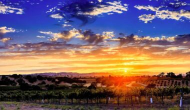 Award-winning California campsites from Lodi to Julian