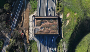 How a Calif. wildlife crossing became the target of right-wing hate