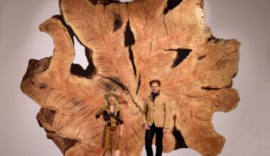 This S.F. show turns earthquake data into art — and it’s mesmerizing