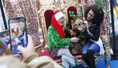 S.F. therapy dog Brixton to get celebration of life at Pier 23