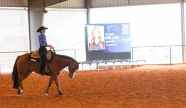Oklahoma State Logo_Updated