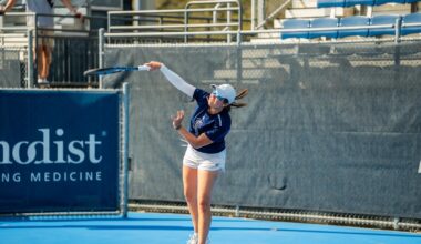University of South Florida Logo