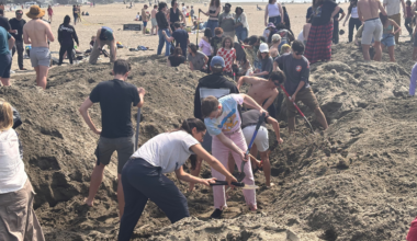 Many people on a sandy beach are digging a large hole together using shovels and other tools on a sunny day.