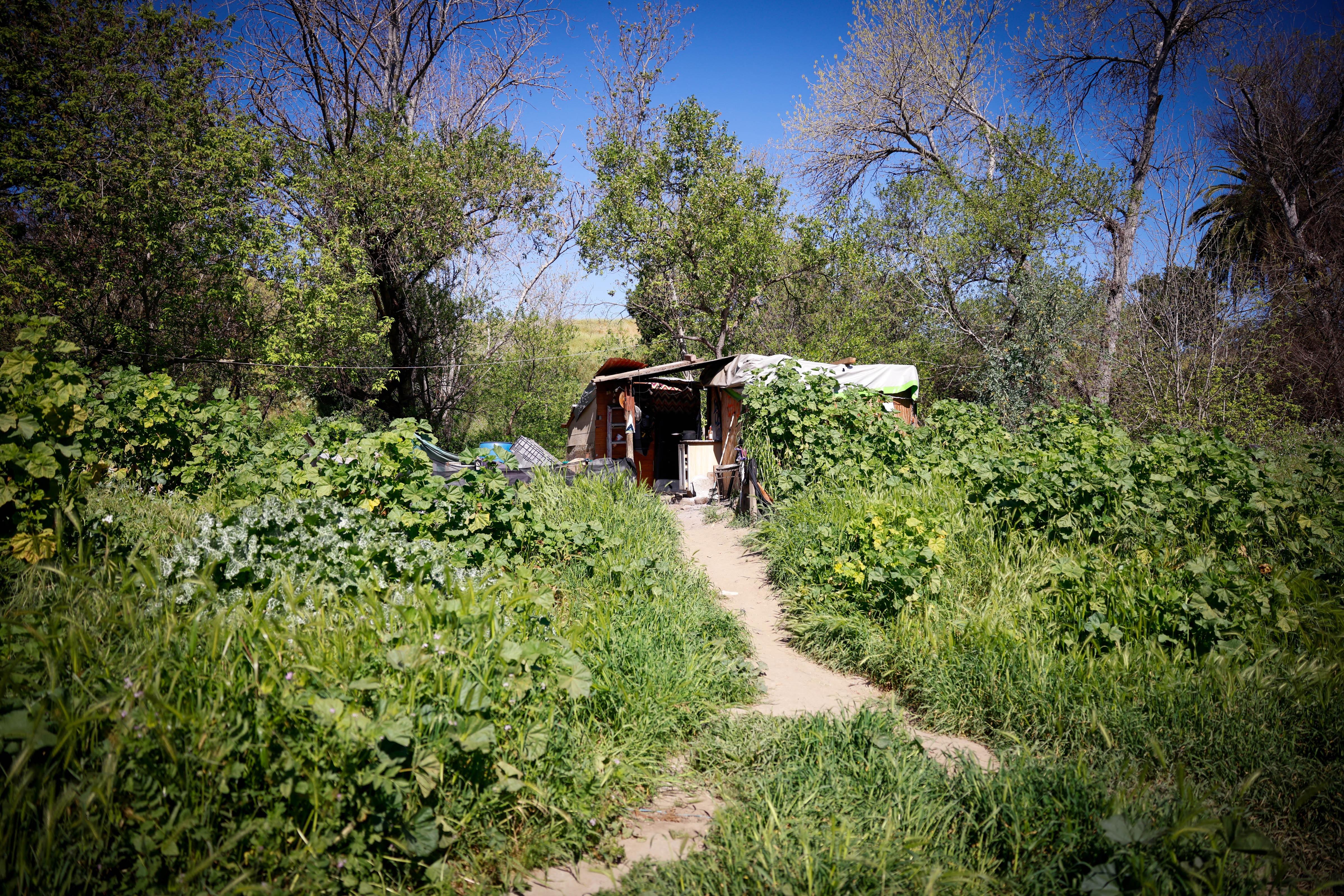 A shelter is nestled in the grass at the Jungle...