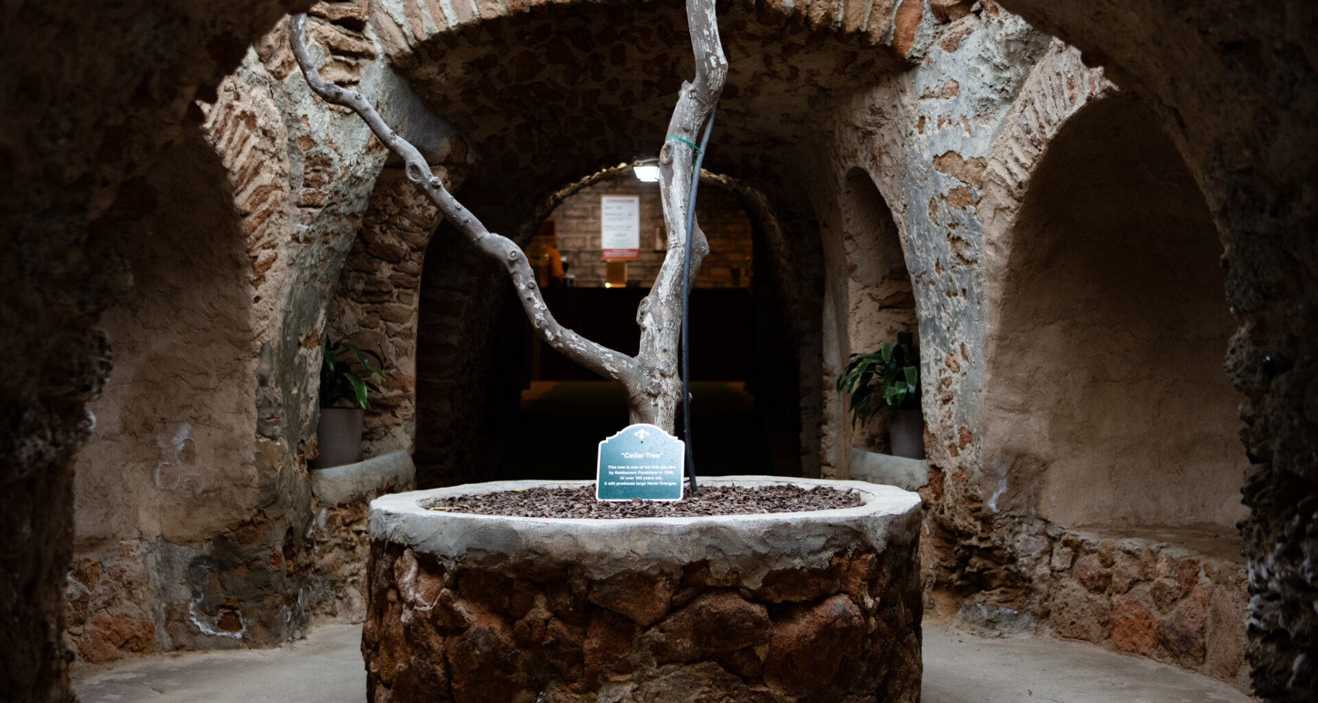 Central Valley's surreal underground attraction reopens for the season