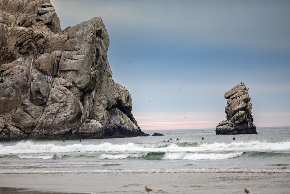 Deadly virus first detected in Bay Area park found on Central Coast