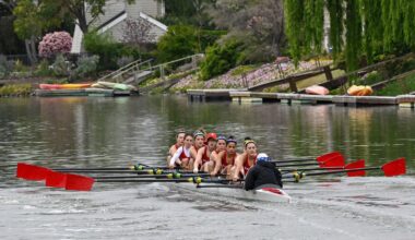 University of San Diego Logo