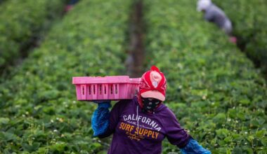 California marks first Farmworkers Day