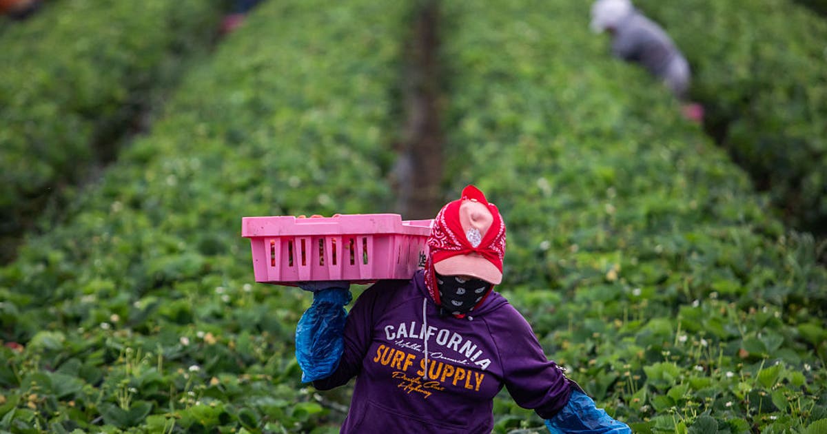 California marks first Farmworkers Day