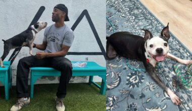 Stolen dog reunited with owner in LA after more than 3 years apart