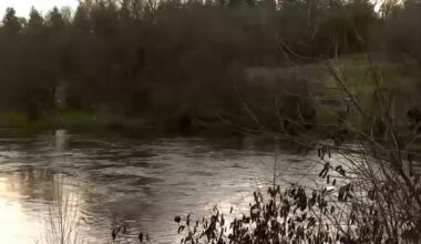 High water levels expected for 2026 as San Joaquin River begins rising