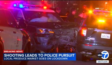 Shooting suspect crashes into LAPD cruisers at end of short chase
