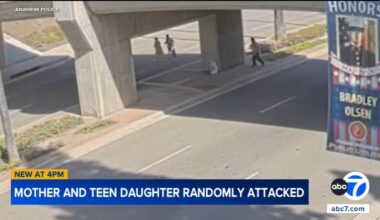 Anaheim homeless man charged after allegedly attacking mother and her teenage daughter