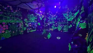 Scandinavian Middle School students create immersive glow-in-the-dark rainforest installation