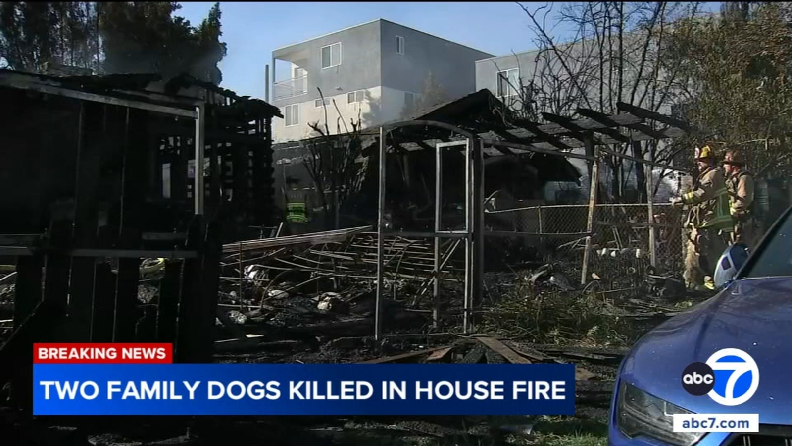 2 dogs killed after fire spreads to family home in Larchmont, Los Angeles