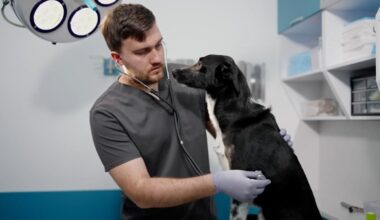 Tips for keeping your dogs safe from Leptospirosis