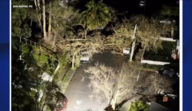 Large tree down knocks out power to hundreds in San Rafael neighborhood