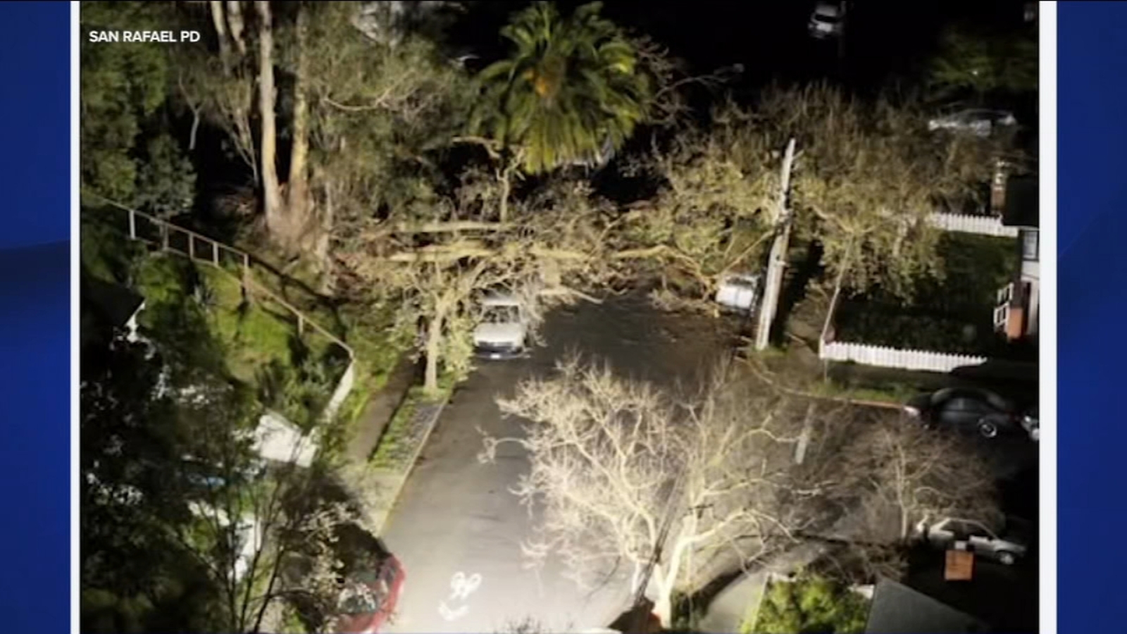 Large tree down knocks out power to hundreds in San Rafael neighborhood