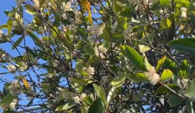 Tips to prepare your body for Spring allergies