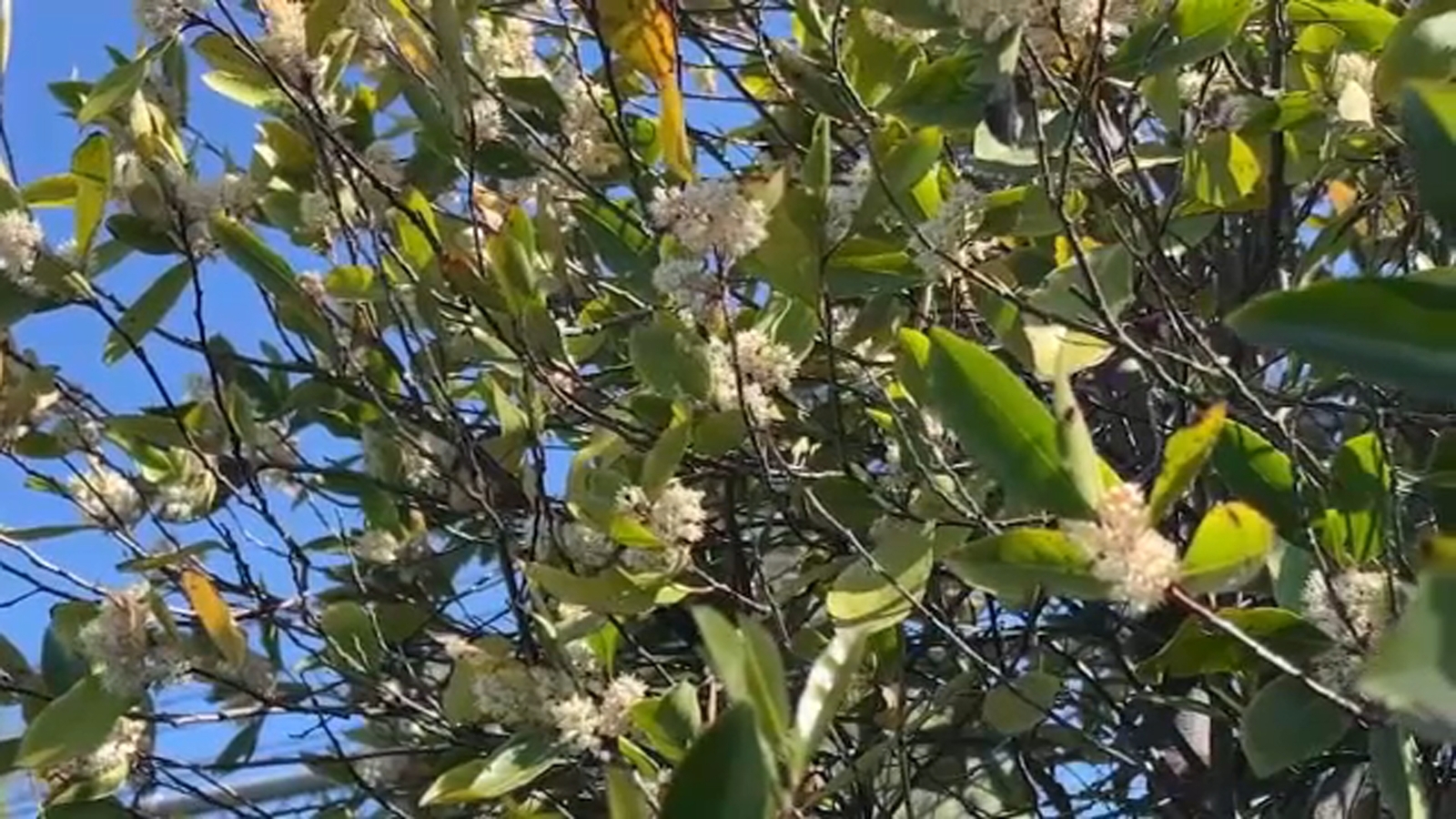 Tips to prepare your body for Spring allergies