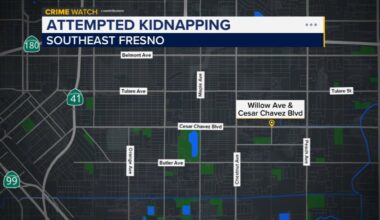 Woman escapes attempted kidnapping after meeting man on social media, police say